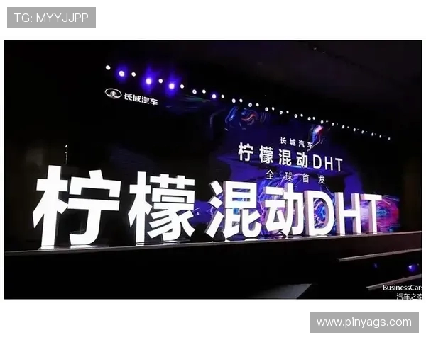 杭州排球队的转型之路:从传统强队到现代化竞技新标杆